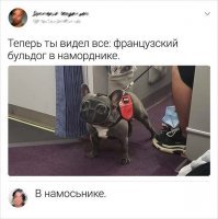 Похож на омоновца в балаклаве