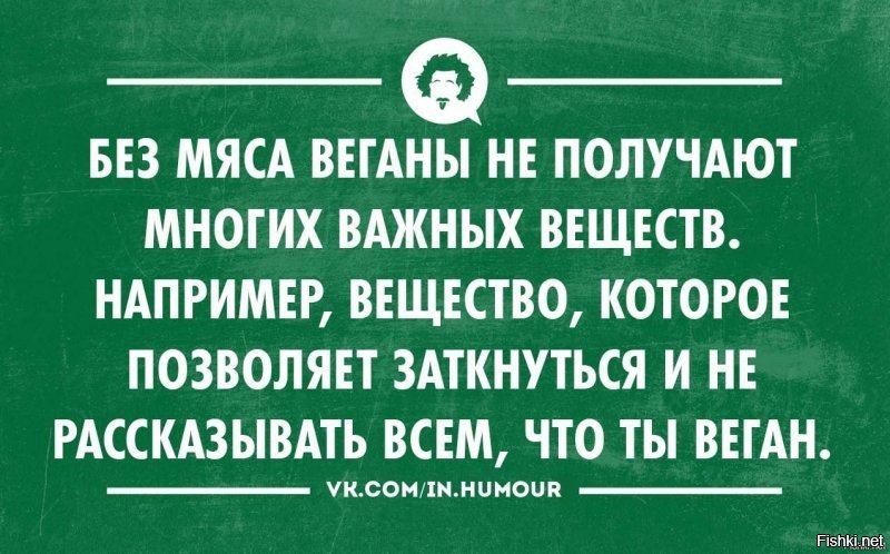 Веганы безуспешно пытаются помешать голодному мужчине войти в Макдоналдс