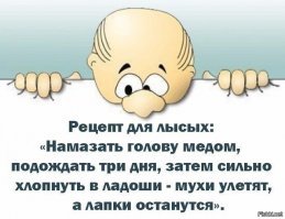 55 знаменитостей до и после бритья головы