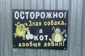 Прикольные и смешные картинки