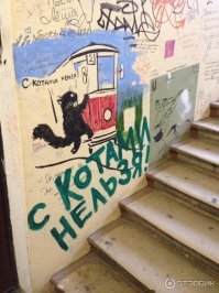 Что-то не похоже на обычный подъезд.