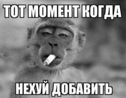 Пользователи Сети засмеяли отремонтированные дороги в удмуртской деревне