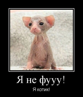 Никаких кэтфри: пользовательниц Сети с помощью мемов убеждают завести котов