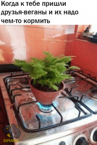 Веганы безуспешно пытаются помешать голодному мужчине войти в Макдоналдс