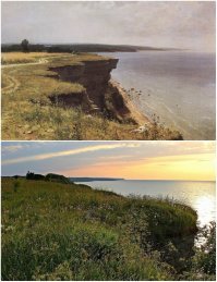 Хотелось бы особенно выделить три замечательные  картины  И.Шишкина " У берегов Финского залива" Эти чудесные пейзажи особенно близки моему сердцу, так как это места родные и знакомые мне с детства, места моей Родины. Иван Шишкин был очень вдохновлён этими живописными местами, он провёл здесь много времени, эти места были  очень близки  и его сердцу. Иван Шишкин всегда стремился к тому, чтобы пейзаж был не только национальным, но и местным. Он не просто изучал и рисовал, а жил своими деревьями и травами, вырисовывая мельчайшие подробности листвы, коры, сучьев, травы, стебельков, передавая в них трепет жизни. Наверное, на этюдах он разговаривал с ними.   Примечательно, что "поэт леса", "царь лесов", как его называли современники, никогда не рисовал "мертвой" природы, сорванных цветов, плодов, натюрмортов, он рисовал только натуру в естественной природе.
Здесь лечились его душевные раны - работой и общением с природой. В них он находил забвение и какое-то утешение. А вот это место почти 125 лет спустя... в наши дни.