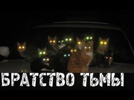 Смешные картинки с просторов интернета