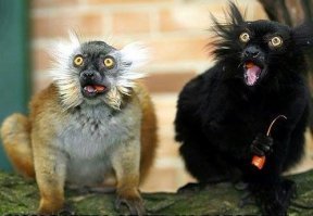 Мы аэропорт не крушили, бро