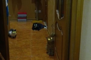 Смешные картинки с просторов интернета