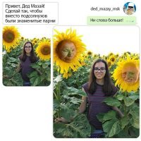 Хм, а глядя, как она держит стебли подсолнухов здесь просятся двое совсем других известных парней...