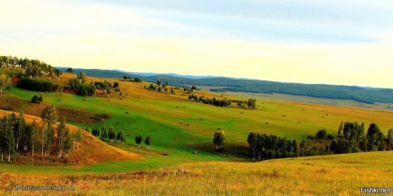 Красноярский край.