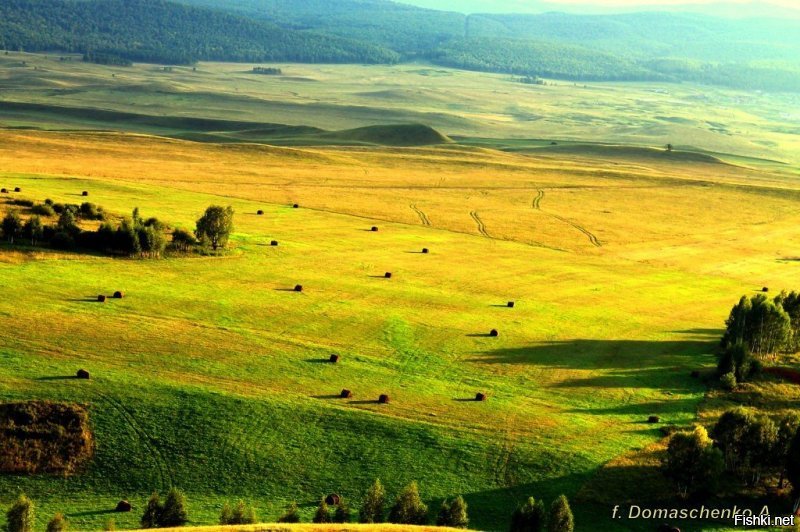 Красноярский край.