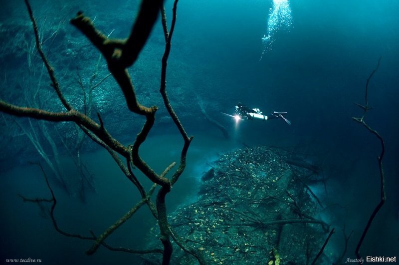 Ну про пещеру Анхелита можно было не полениться и фоток приложить. И раскрыть "тайну" - подводная река - просто слой сероводорода.