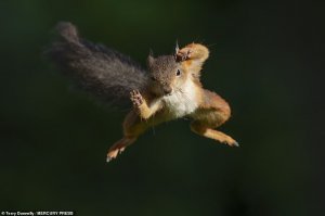 Увидев эту фотку, почему то музыка из Mortal Kombat вспомнилась ;)