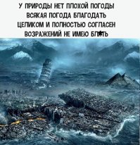 Япония пала жертвой стихии