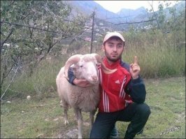 Это не тру, так тру)))