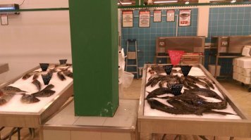 Была в Астрахани в сентябре 2014 
Вот такие цены были в магазине ...