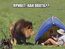 Подборка автомобильных приколов