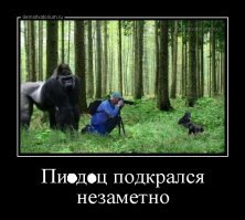 Подборка автомобильных приколов