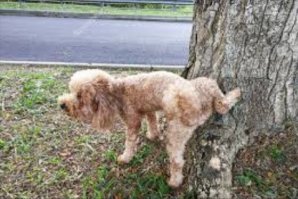 Прикольные и смешные картинки