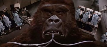 Почему-то напомнило старый фильм о Кинг Конге... :)