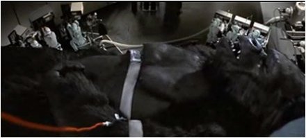 Почему-то напомнило старый фильм о Кинг Конге... :)