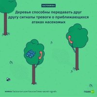 Блин... И повтор и куча неправильностей и притянутостей, которые лень описывать уже... Кроме сигналинга растений, хотя и тут как-то звучит однобоко.. Ну тут-то чистая правда в чем-то, учитывая, что со статьи с моим участием тема то и пошла. Мы показали реакцию растений на повреждение в виде выделения метанола и реакцию соседнего растения активацией защитных генов. Ну да, сказали что это может быть при повреждении насекомыми, в частности.
"Methanol may function as a cross-kingdom signal. PLoS One, 2012"