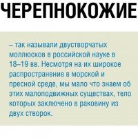 А здесь-то что не так?