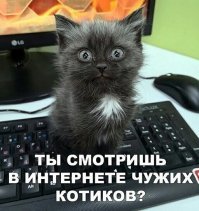 Котосмайлики