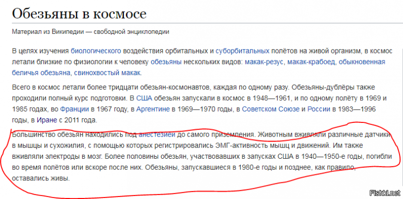 В Сети всплыли кадры с привязанными обезьянами, снятыми в немецкой лаборатории