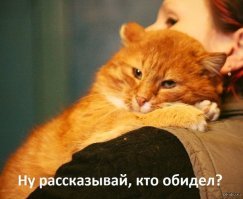 Отец с сыном отправились за рыбой, а поймали рысь