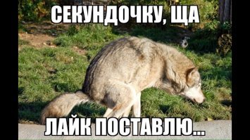 Прикольные и смешные картинки