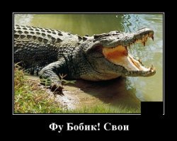 - Не бойтесь, он не кусается!