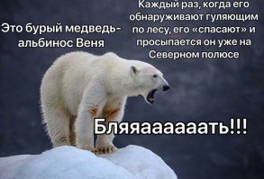 Удивительные портреты цирковых альбиносов викторианской эпохи