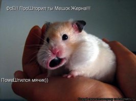 Девушка сама не ожидала от себя такой меткости