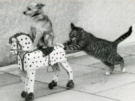 Ну вы поняли...