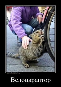 Игра слов: 20 смешных картинок со смыслом