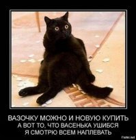 Прикольные и смешные картинки