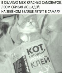 Пользователи Твиттера рифмуют названия одежды и сочиняют с ними четверостишия