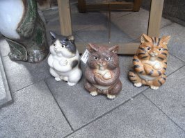 Там можно купить и таких котиков.