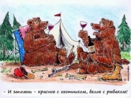 Медведь загнал рыбаков на деревья и погрыз их лодки