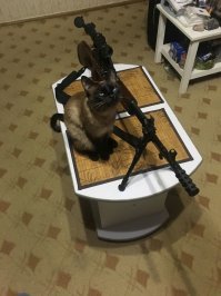 две мои прелести )