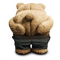 Медведь загнал рыбаков на деревья и погрыз их лодки