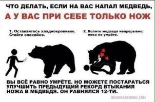 Медведь загнал рыбаков на деревья и погрыз их лодки