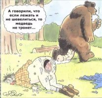 Легко отделались.