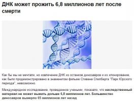 Египетские археологи нашли 20 запечатанных саркофагов