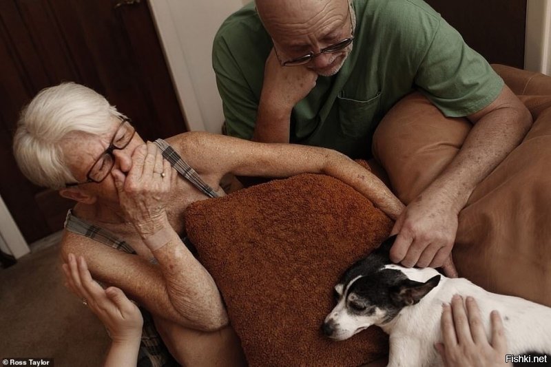 просто старые собаки и их владельцы , которые понимают скорый конец..
 вот прощание..