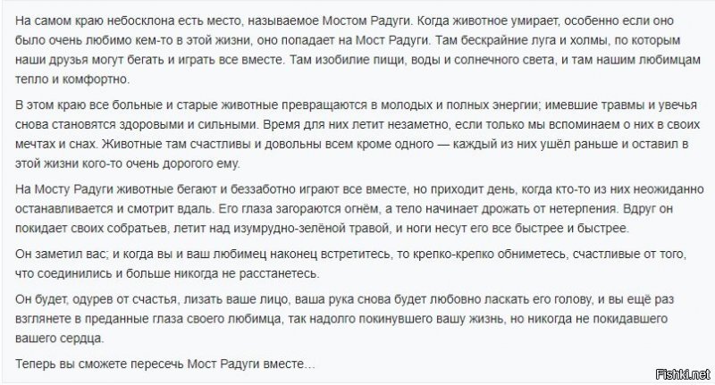 просто старые собаки и их владельцы , которые понимают скорый конец..
 вот прощание..