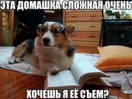 Прикольные и смешные картинки