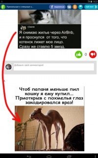 Прикольные и смешные картинки