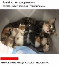 "Комменты - улет!": 25 убойных постов с достойными комментариями
